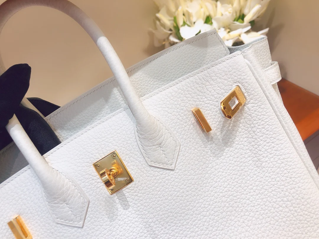Hermes Birkin 25 Togo - Чисто-белый - Золотая фурнитура
