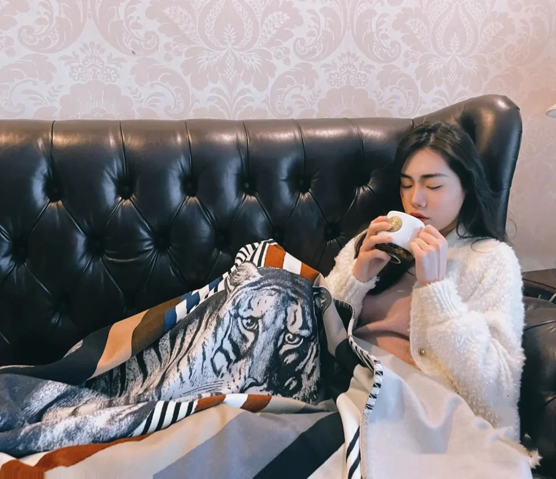 Hermes - Новое одеяло с тигром