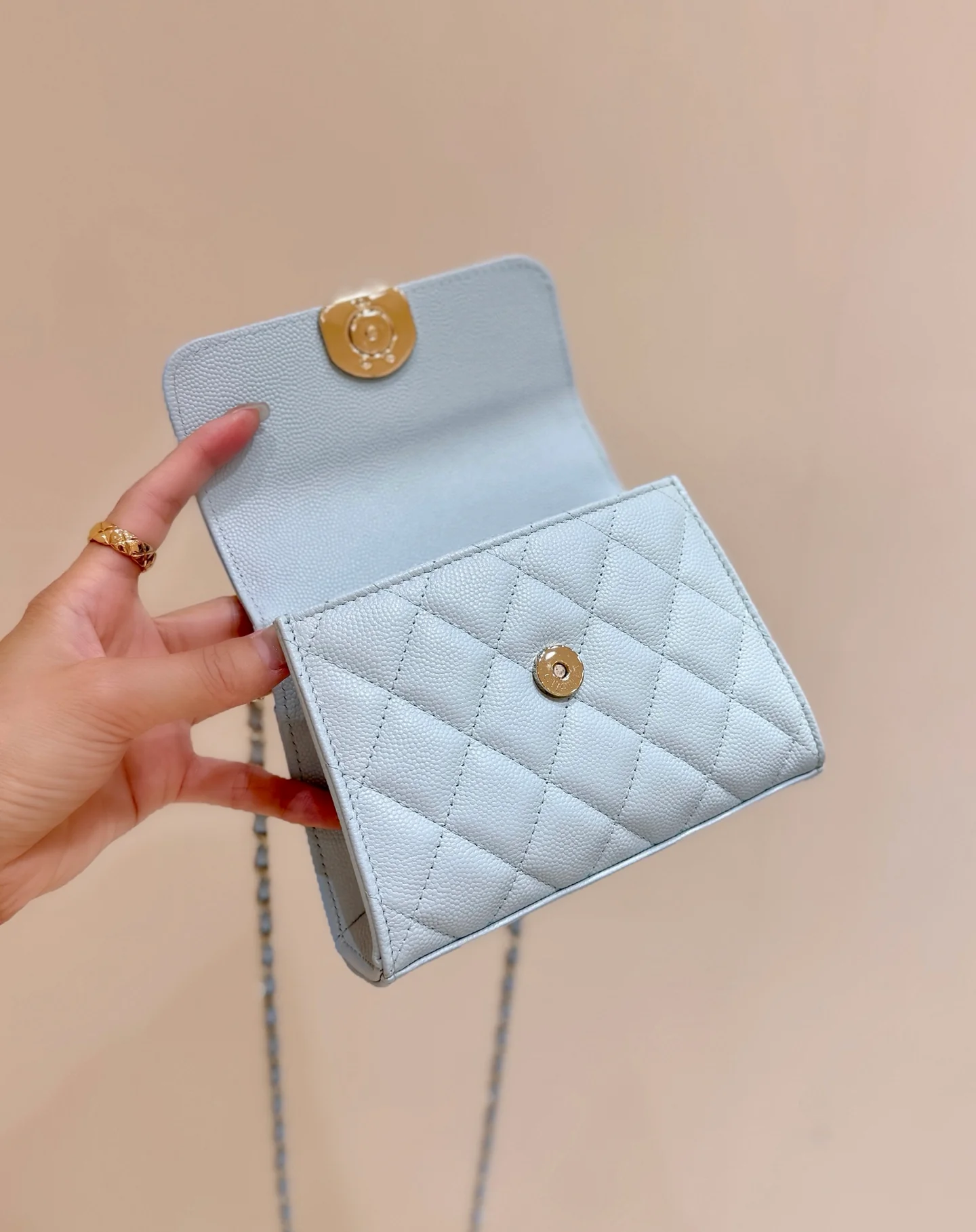 Сумка Chanel 25s Kelly Handle Bag