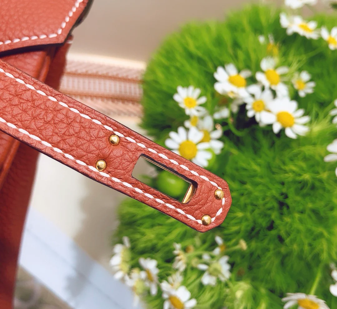 Hermes-birkin-25-togo-Maple Leaf Palm- Gold Buckle