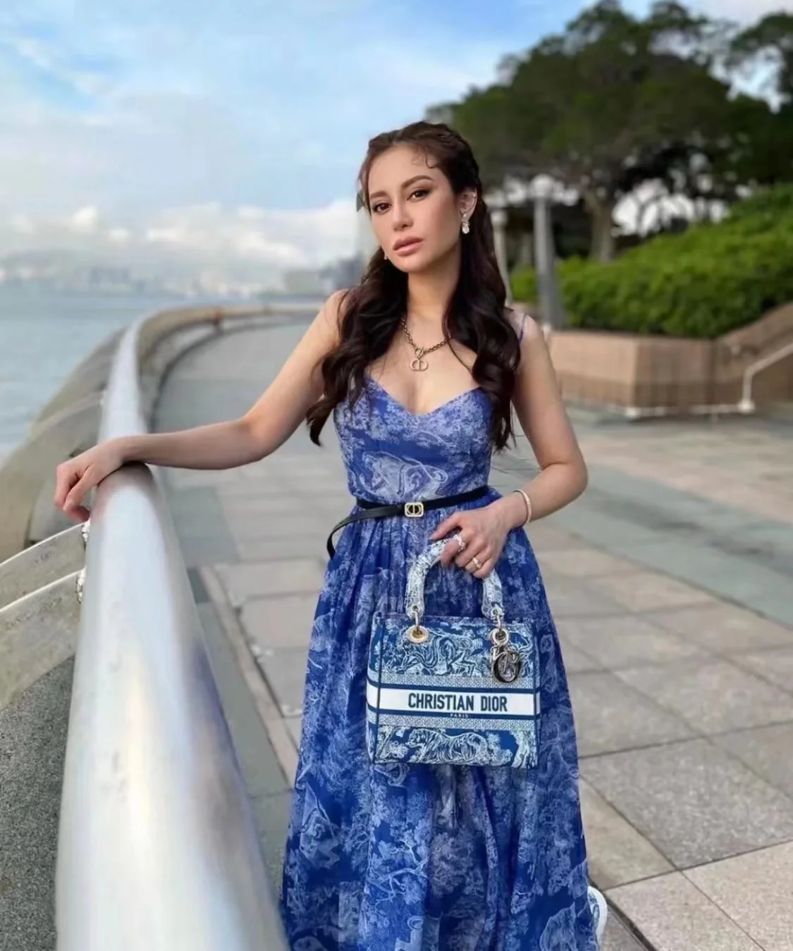 Сумка Dior Lady D Lite - вышивка на холсте - синий тигр - 24 см