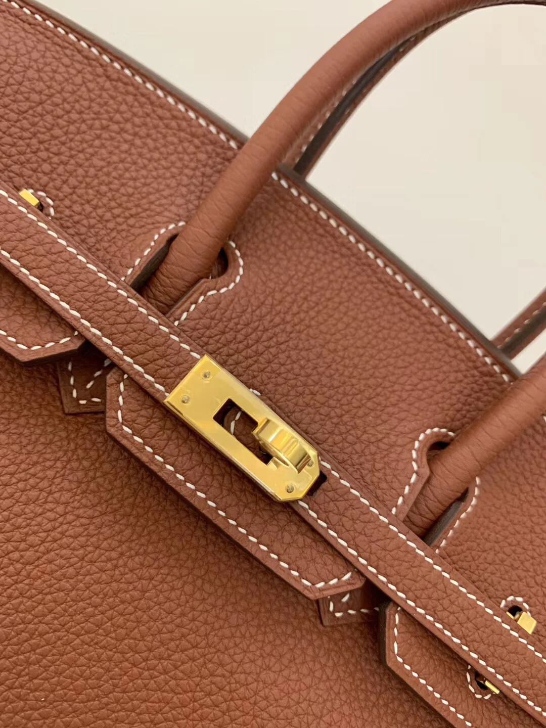 Hermes-birkin-25-e4-Maple Leaf Palm-Gold Buckle