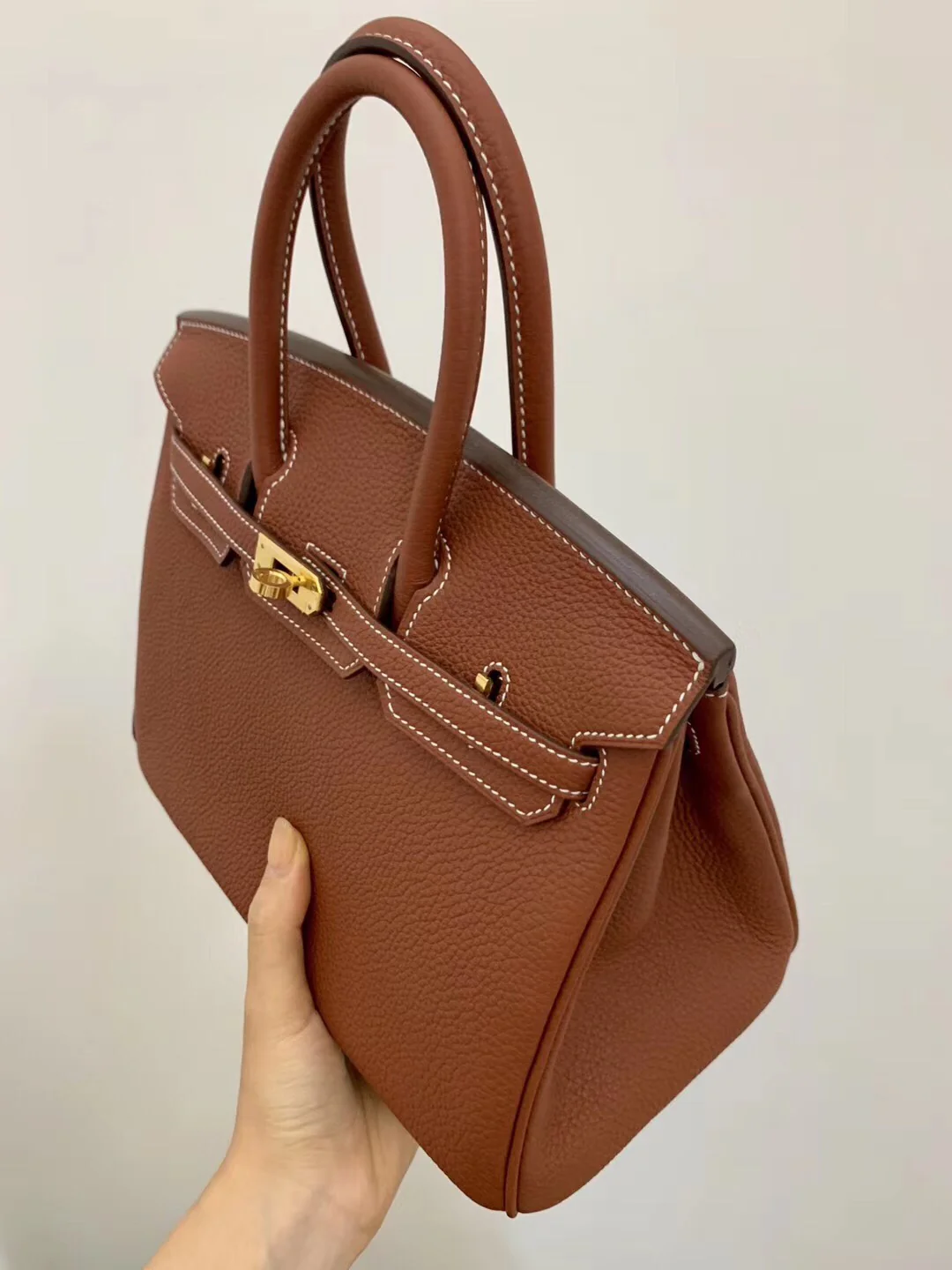 Hermes-birkin-25-e4-Maple Leaf Palm-Gold Buckle