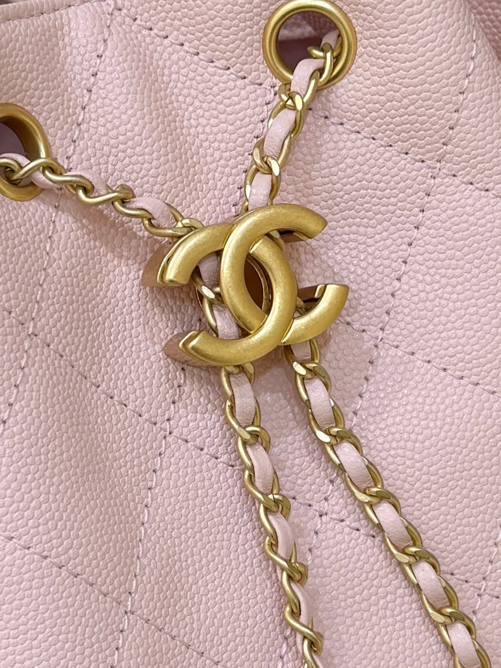 Сумка Chanel 25s 25bag - с экстрактом личи