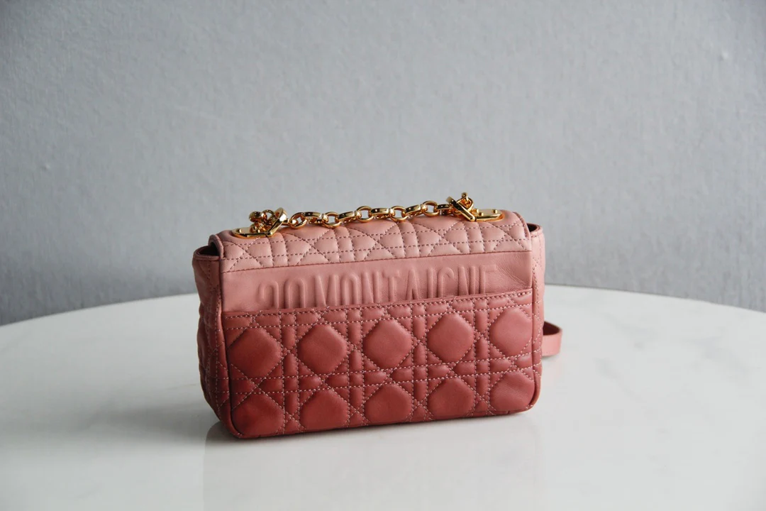 Dior Caro Small 20cm Gradient Pink Calfkin