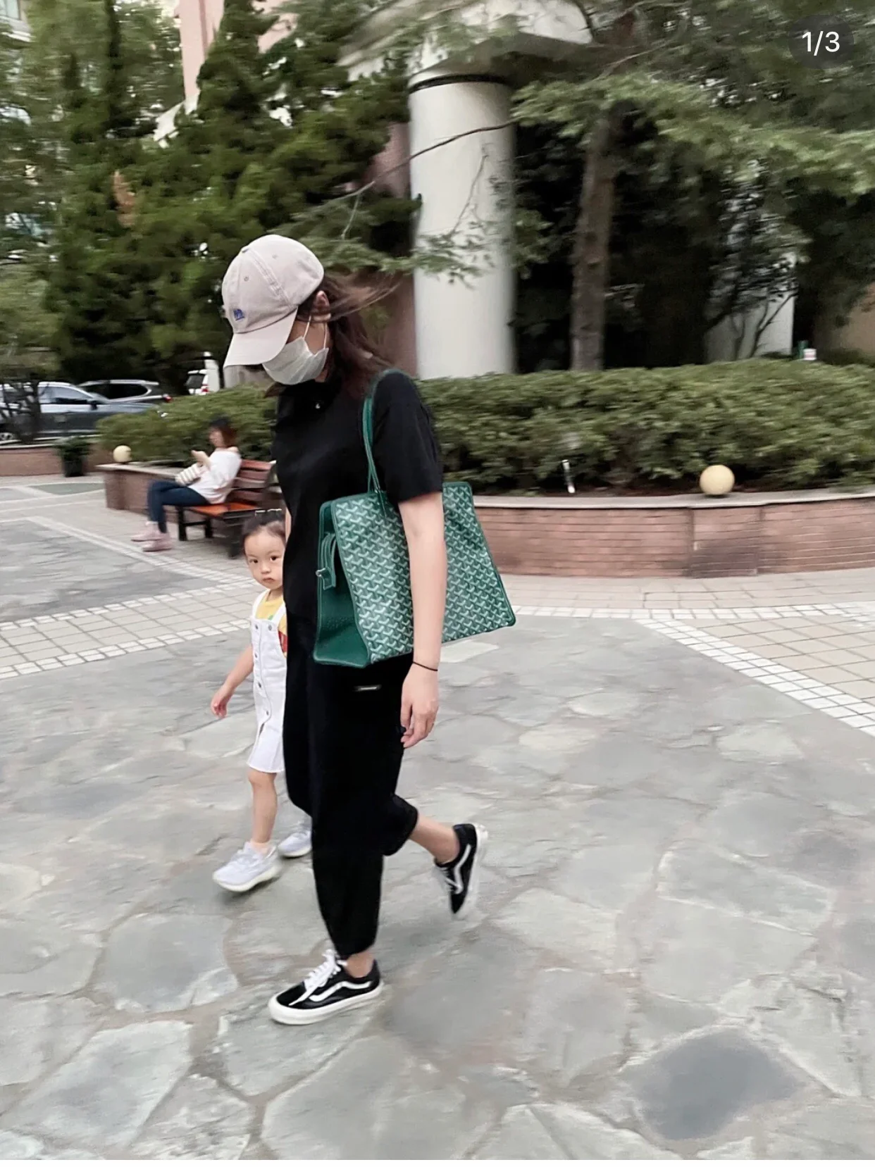 Маленькая складная холщовая сумка Goyard - зеленая