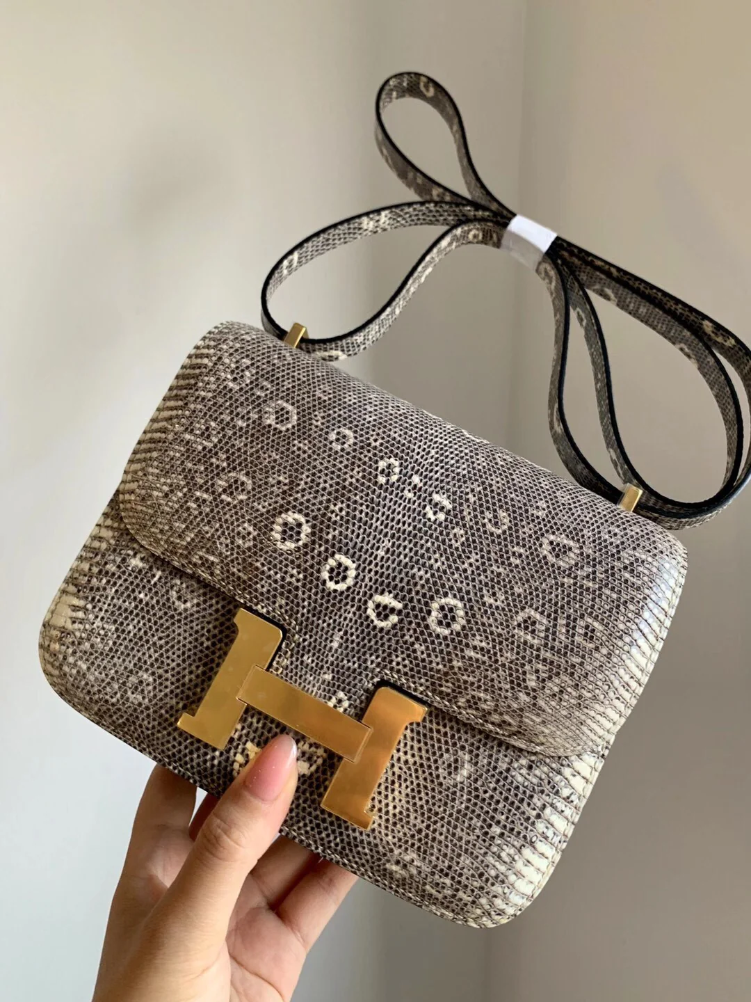 Hermes-constance-19-ombre-lizard-gold buckle-1