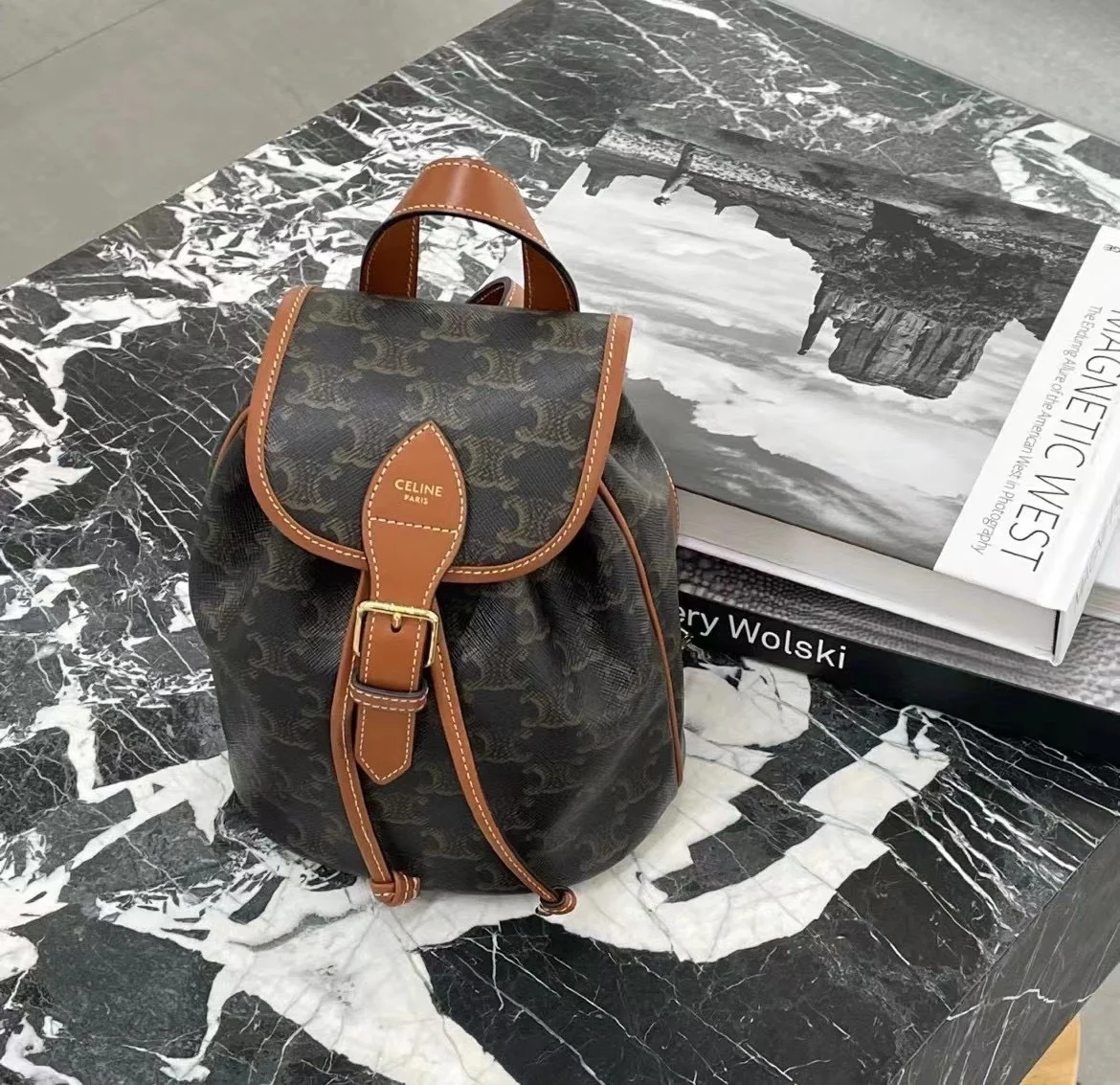 Рюкзак Celine с принтом Триумфальной арки - коричневый