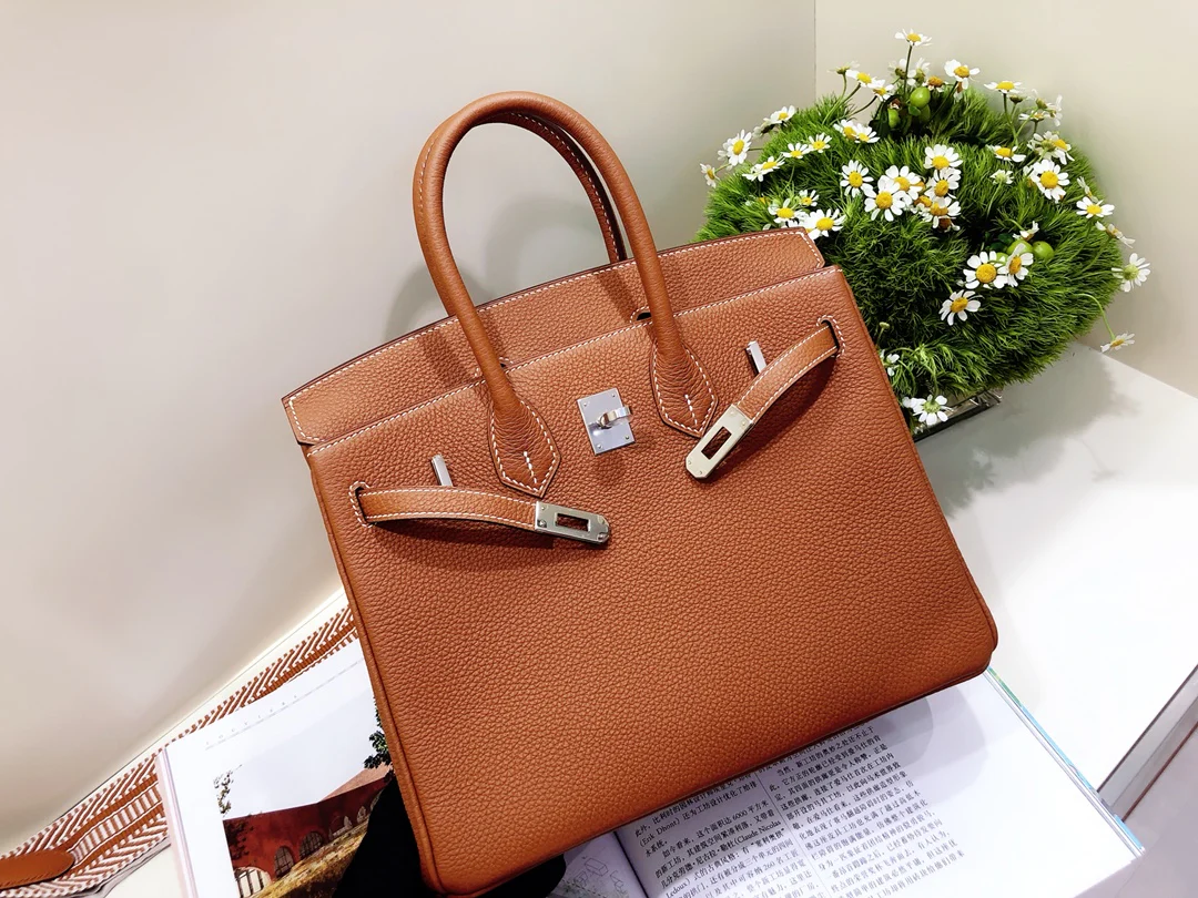Hermes Birkin 25 Togo Gold Brown Silver Buckle