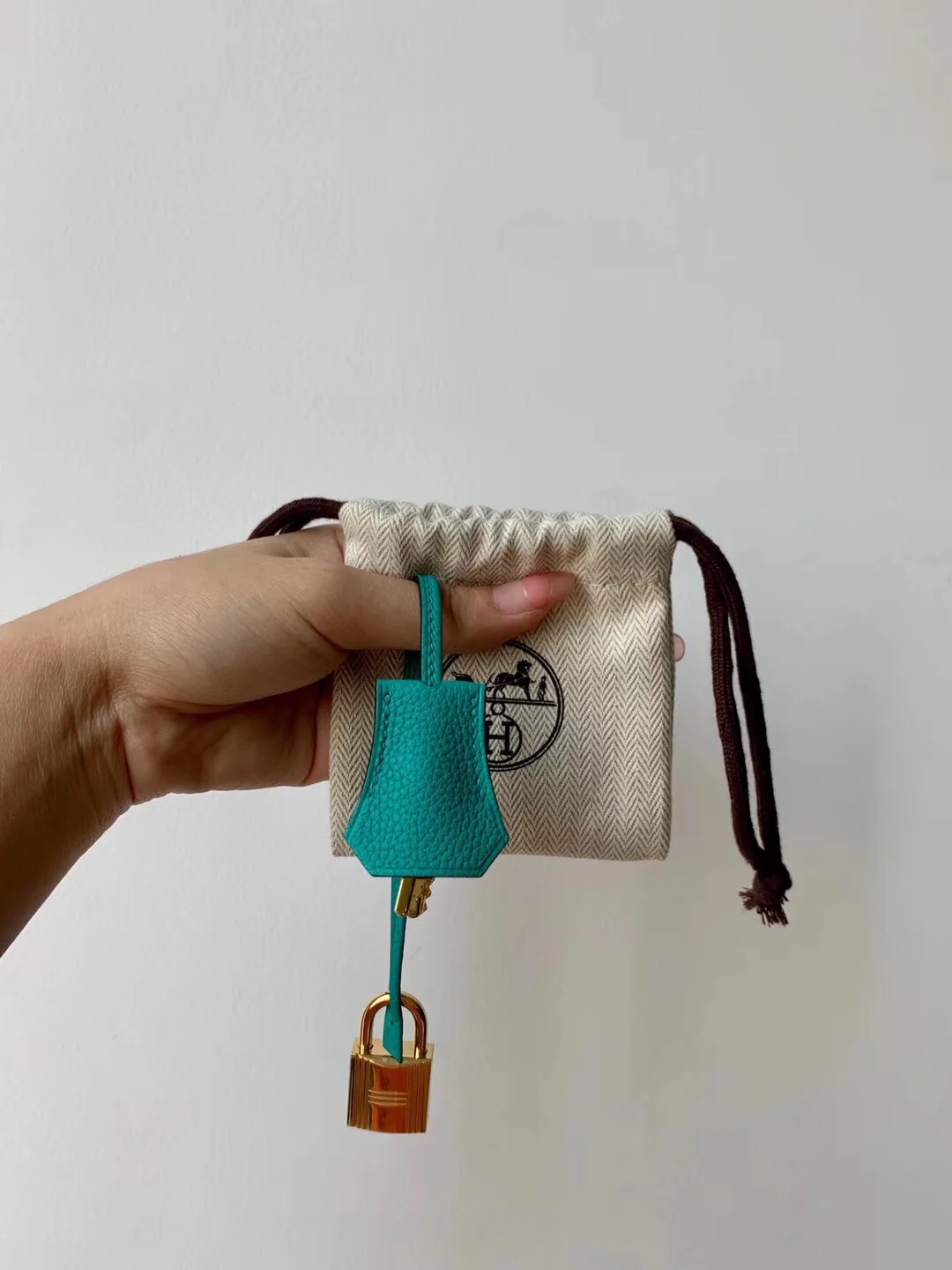 Hermes-birkin-25-togo-u1-vert-verone-Verona зелено-золотая пряжка