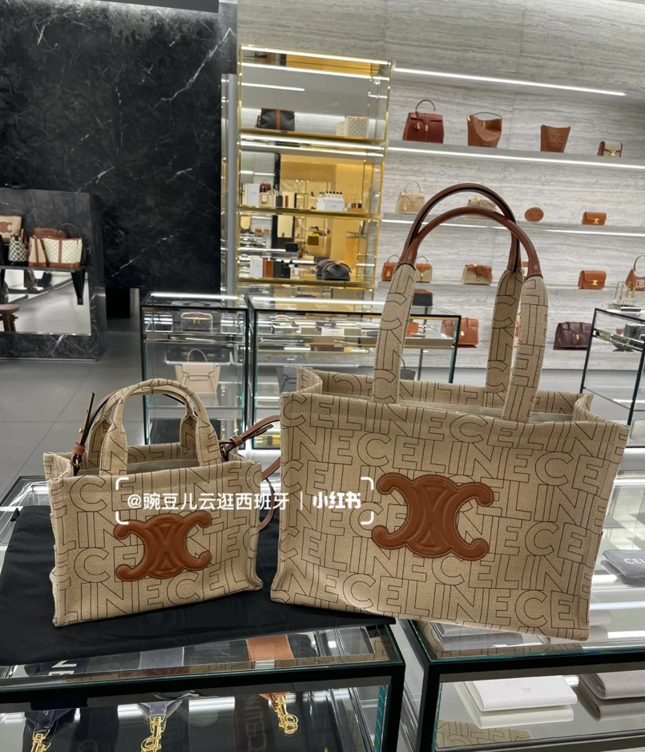 Сумка-шоппер Celine Cabas Thais Classic All-Print Canvas Tote Bag - Маленькая