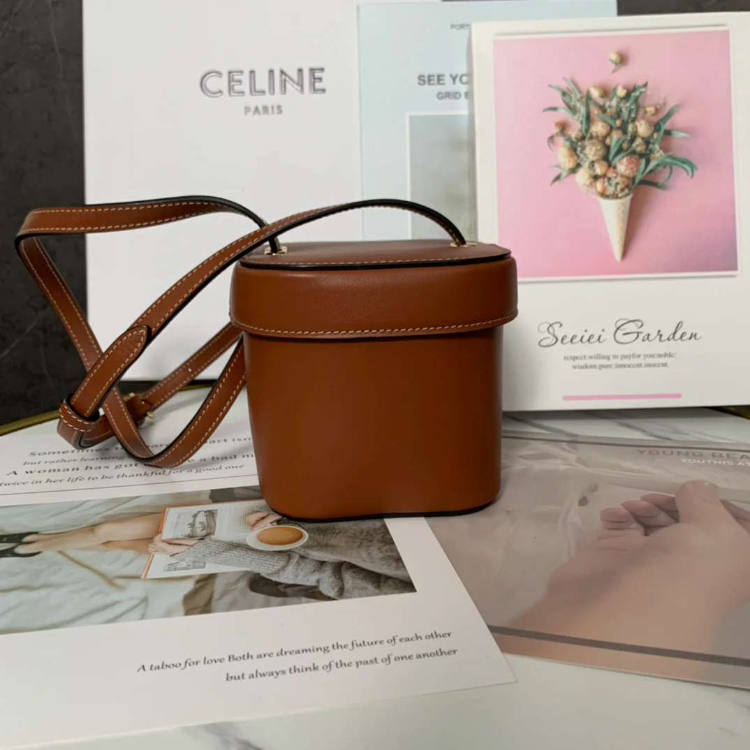 Сумка Celine Boxtriomphe - коричневая