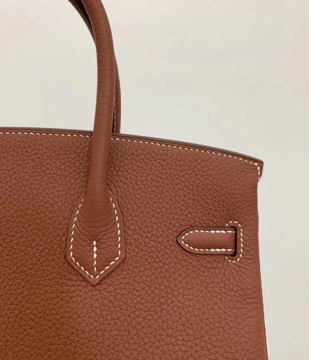 Hermes-birkin-25-e4-Maple Leaf Palm-Gold Buckle