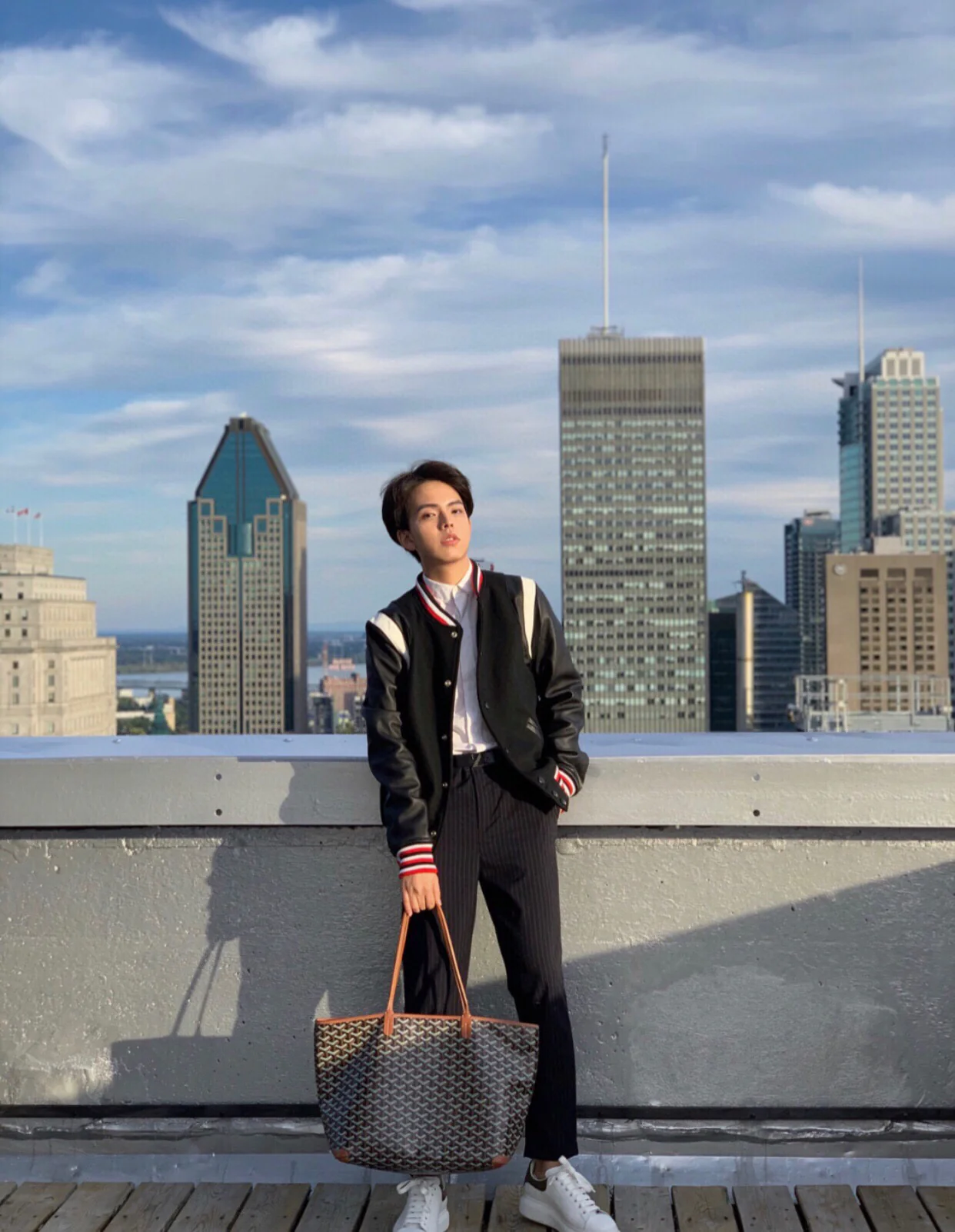 Большая сумка-тоут Goyard на молнии - Кофейно-коричневый