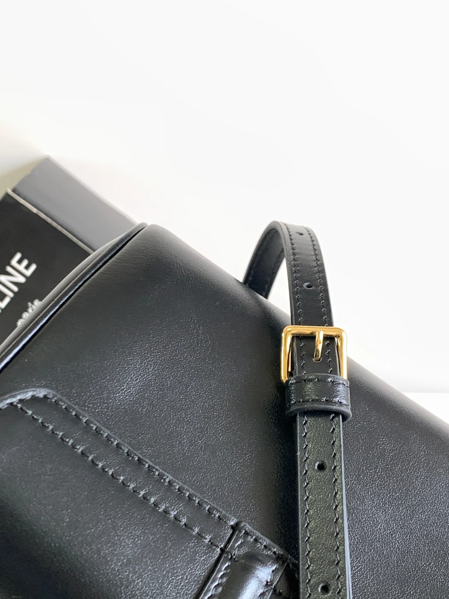 Новинка весны 2023 года от Celine - Миниатюрная сумка из мягкой зернистой телячьей кожи (16%) - Черная