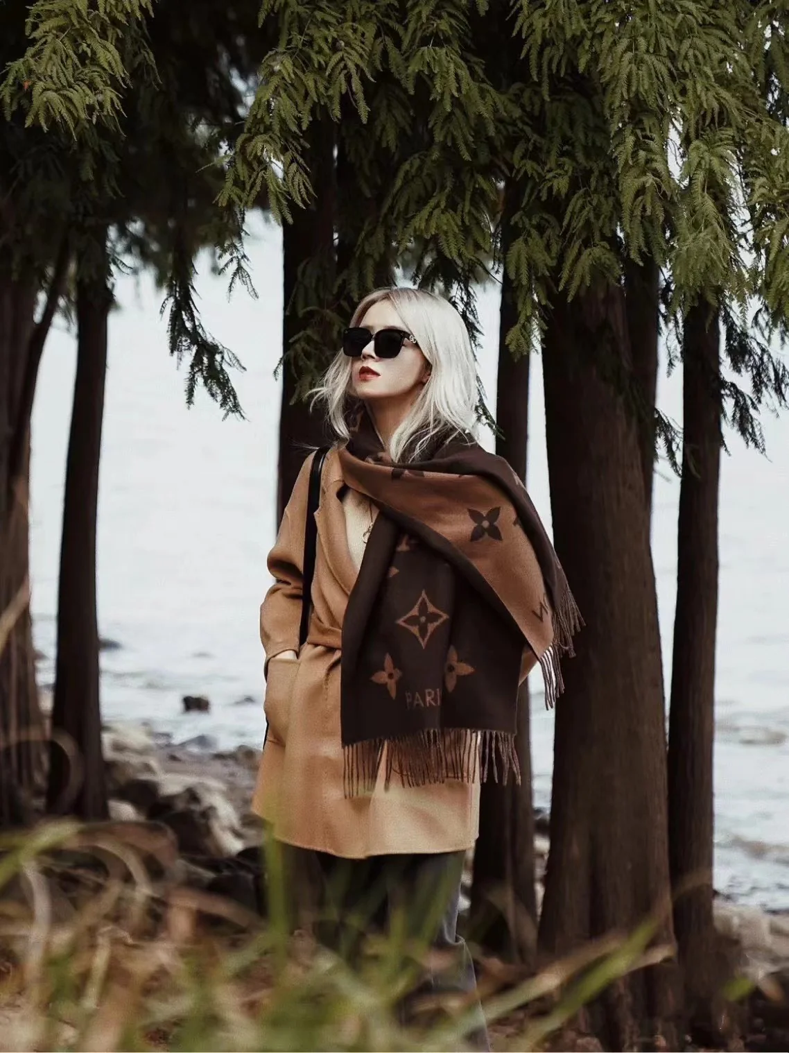 Кашемировый шарф LV-Рейкьявик