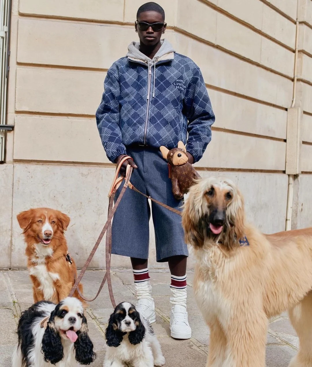 Сумка LV-m12617-pooch-bag с изображением французского бульдога - коричневая.