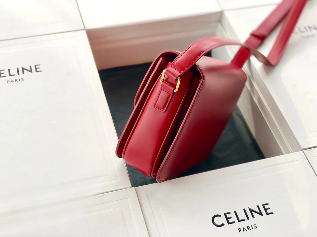 телячья кожа Celine Triomphe Medium