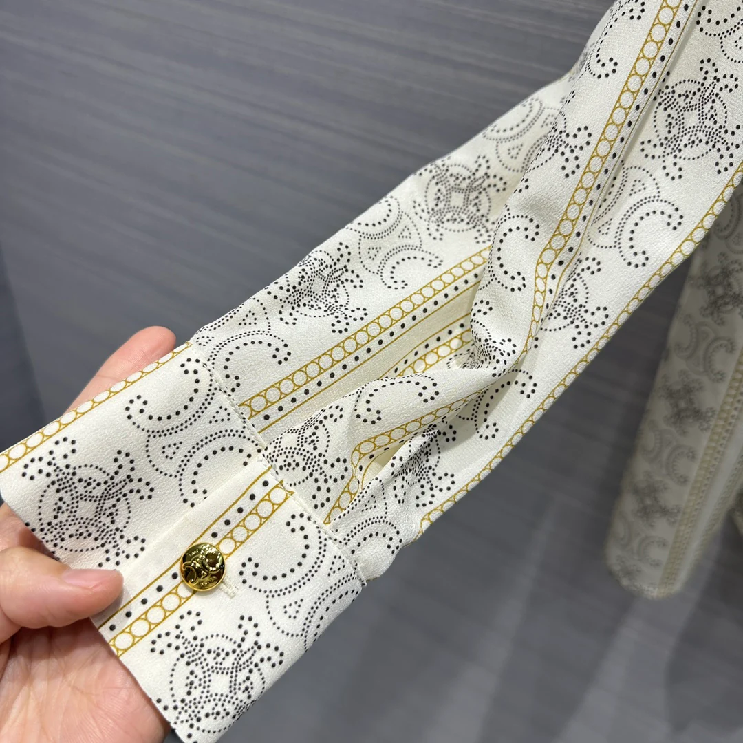 Новинка сезона весна/лето 2024 от Celine: шелковая рубашка в стиле французской элегантности.