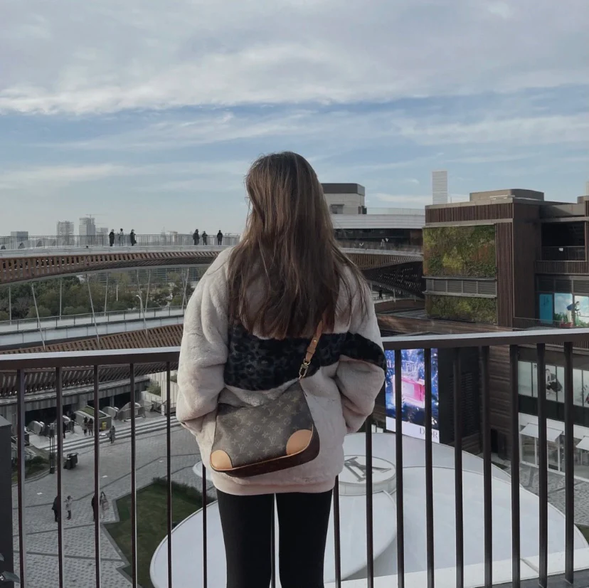 m45832-LV-булонская сумка