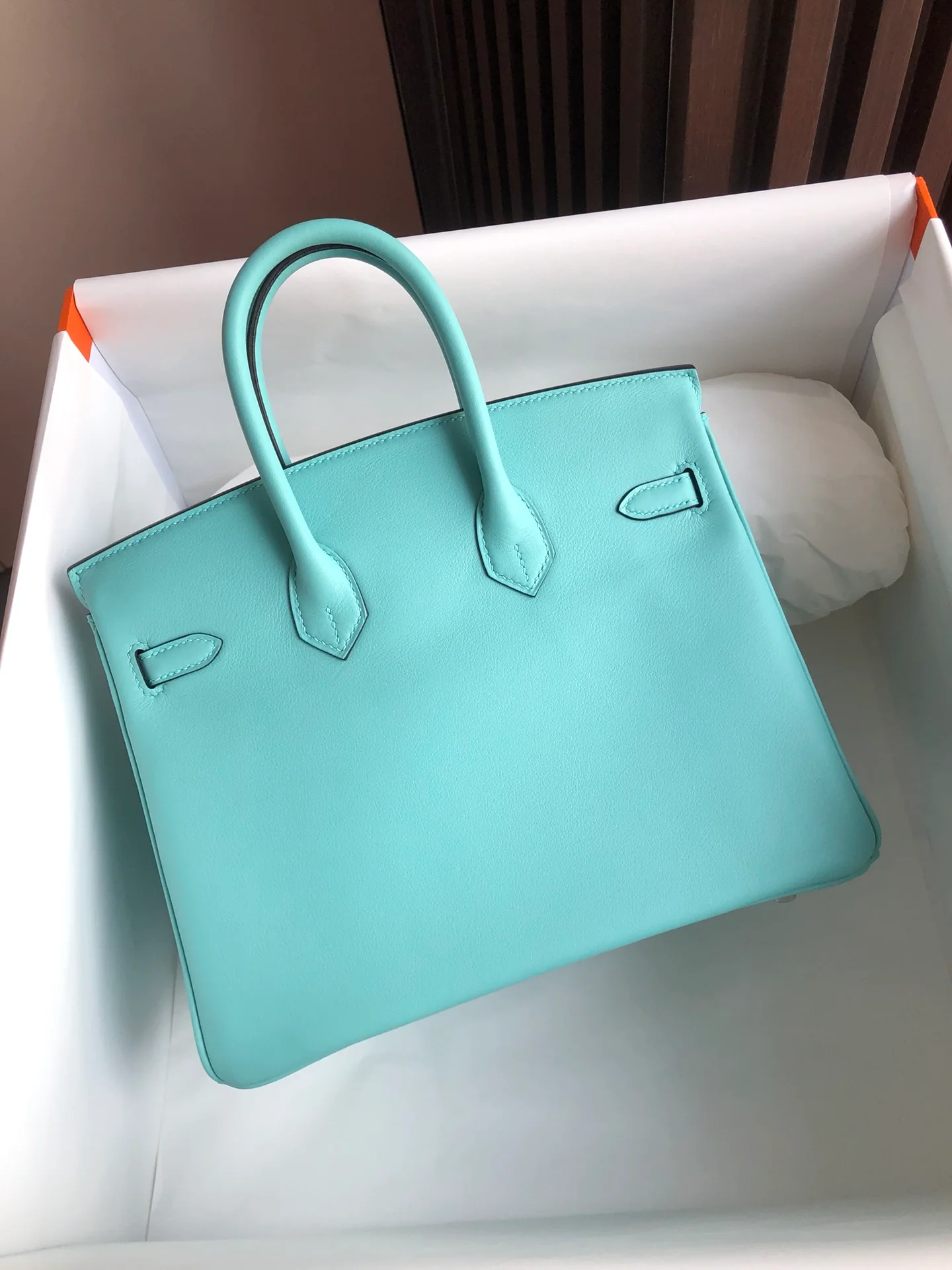 Сумка Hermes Birkin 25 Swift 3p Macaron с серебряной пряжкой