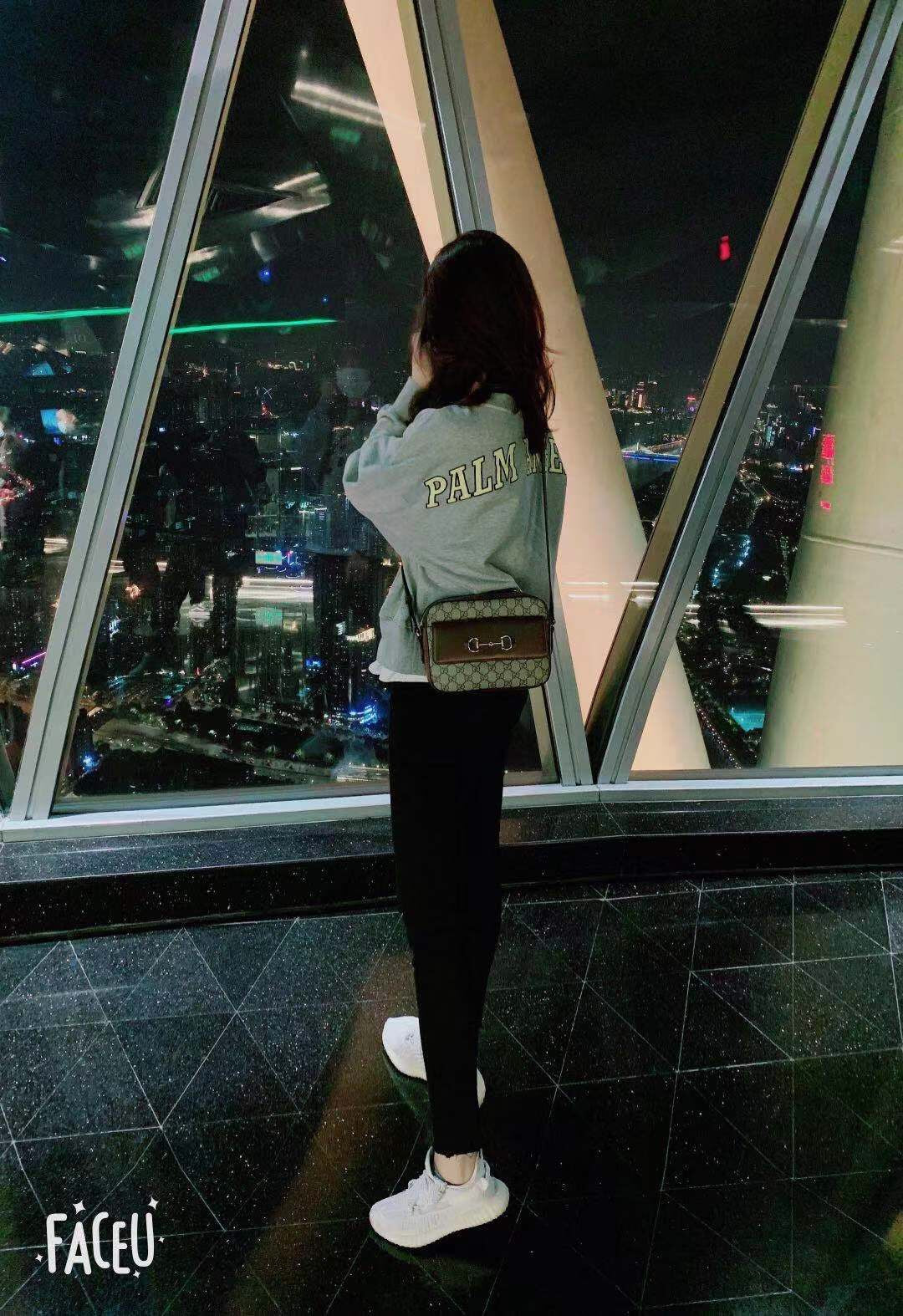 Сумка для фотоаппарата Gucci 1955 с пряжкой в ??виде подковы