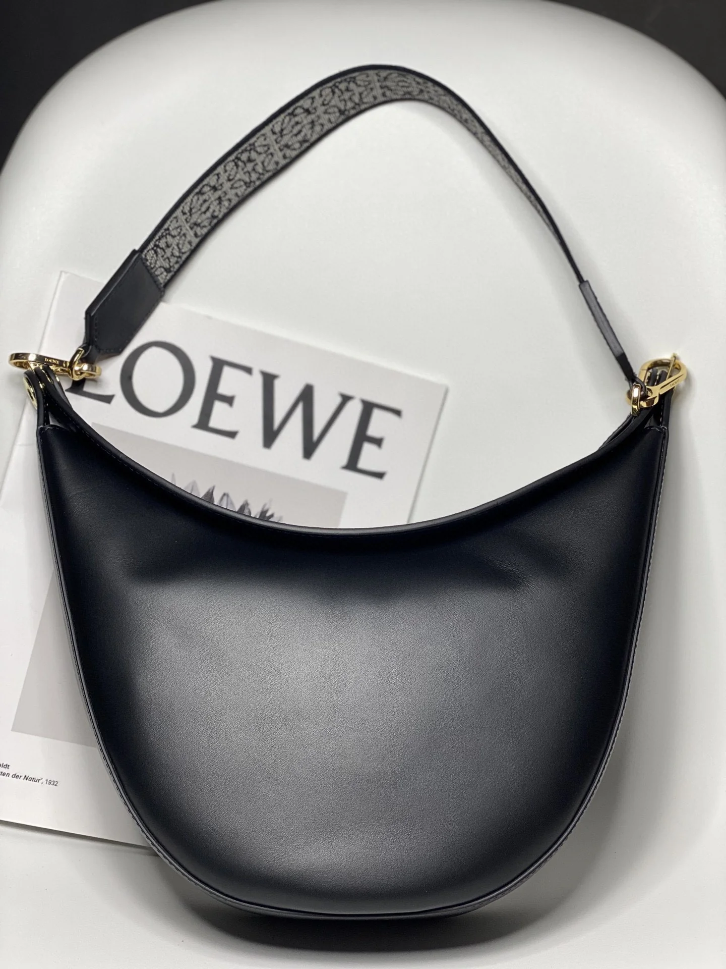Сумка Loewe Luna Collection Moon Bag - 1