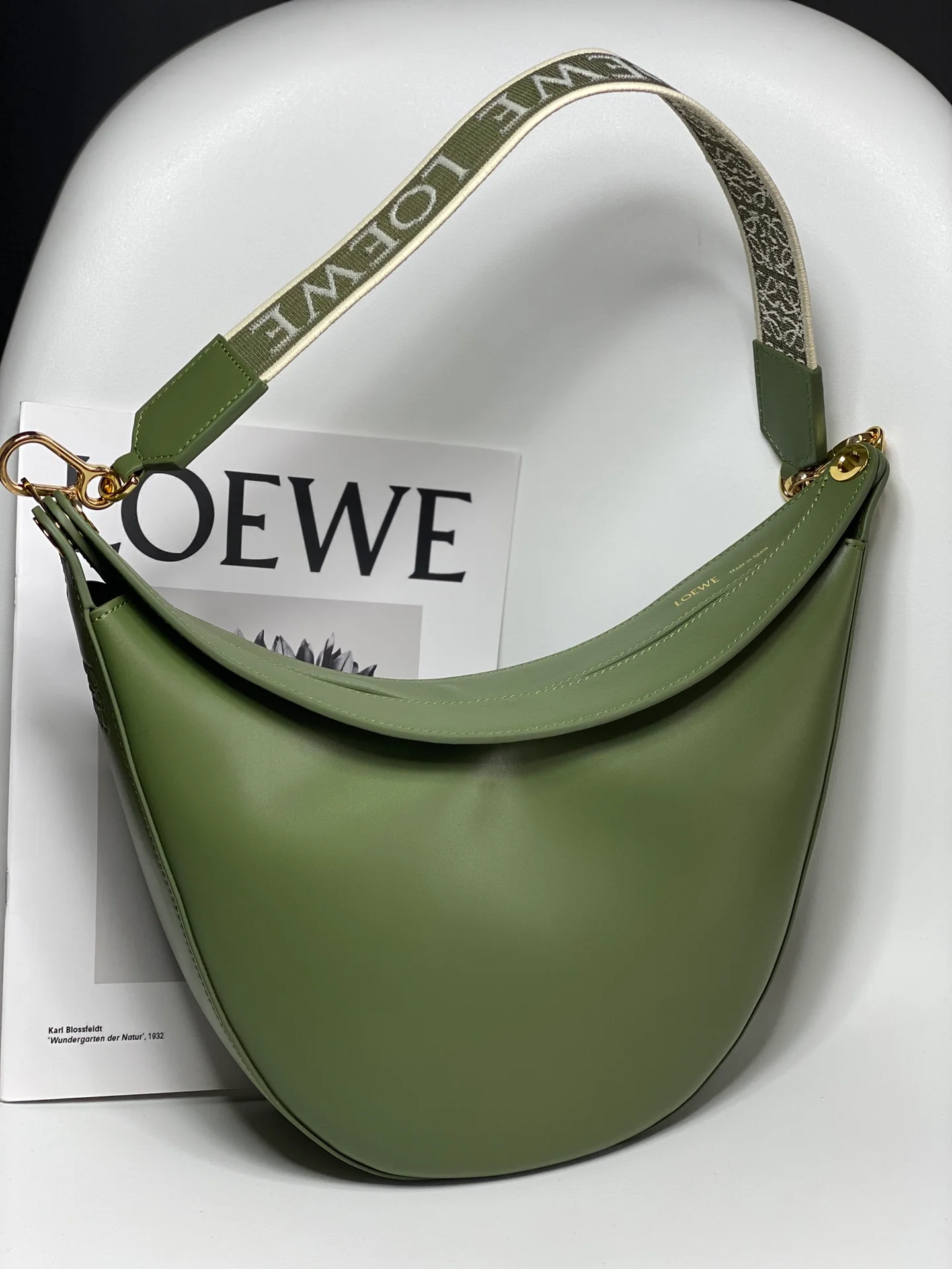 Сумка Loewe Luna серии Moon Bag - 4