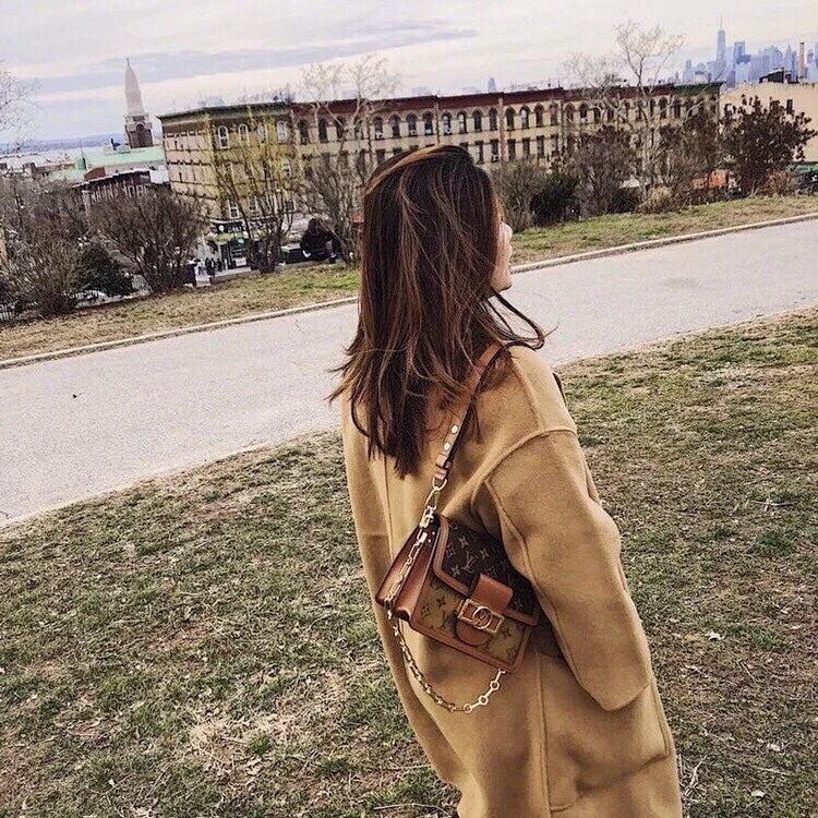 m44580-LV-dauphine-messenger сумка-мессенджер на теле с фото-маленьким размером