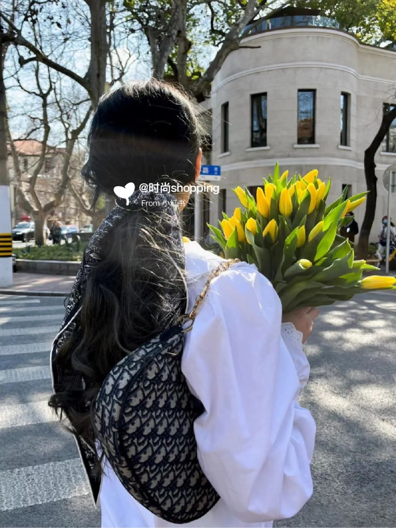 Сумка Dior Lounge Moon Bag Series - Oblique Monogram - 1