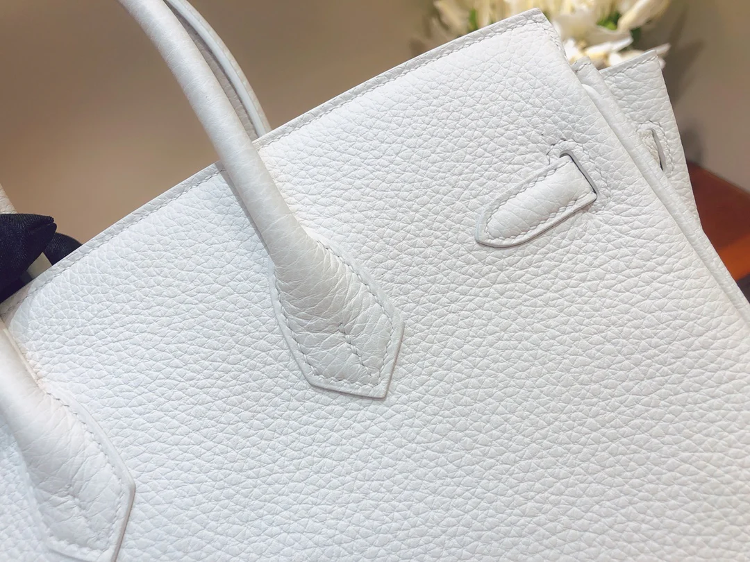 Hermes Birkin 25 Togo - Чисто-белый - Золотая фурнитура