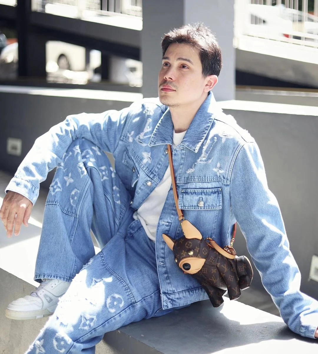 Сумка LV-m12617-pooch-bag с изображением французского бульдога - коричневая.