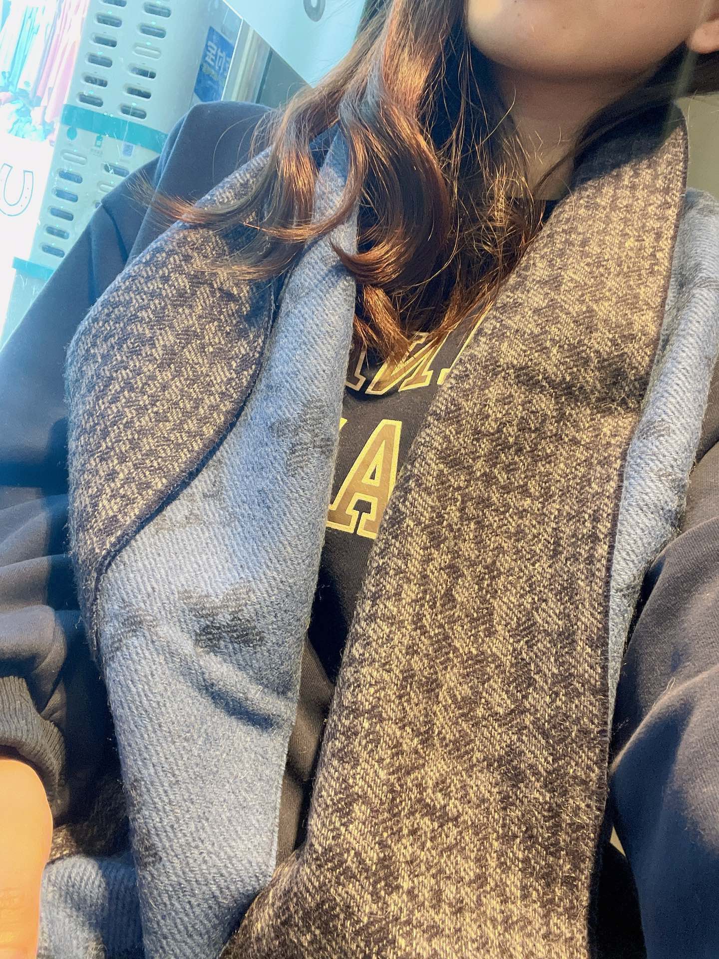 Двусторонний шарф LV Monogram - Смесь шерсти и кашемира - Синий