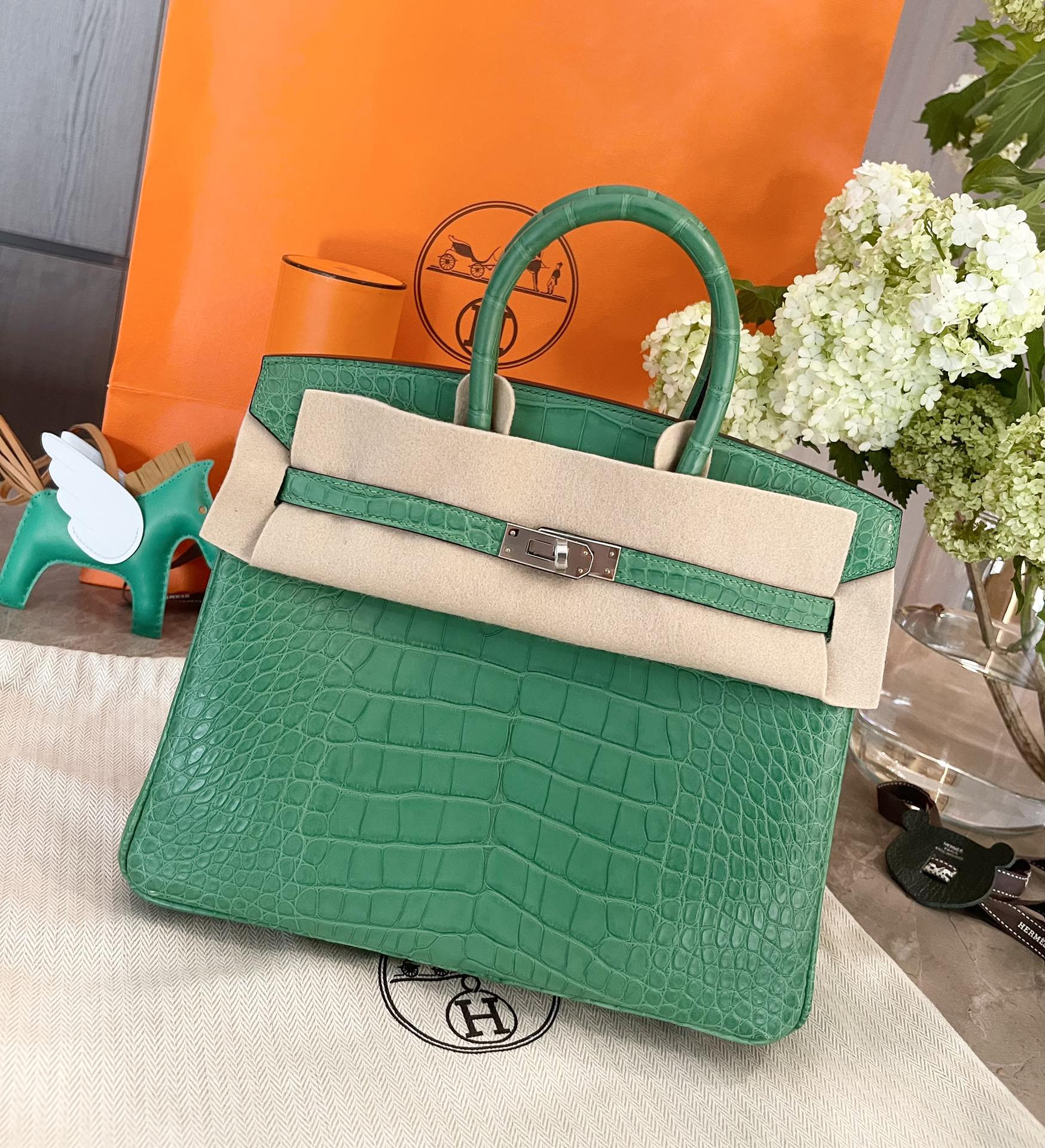 Сумка Hermes Birkin 25 матового цвета 