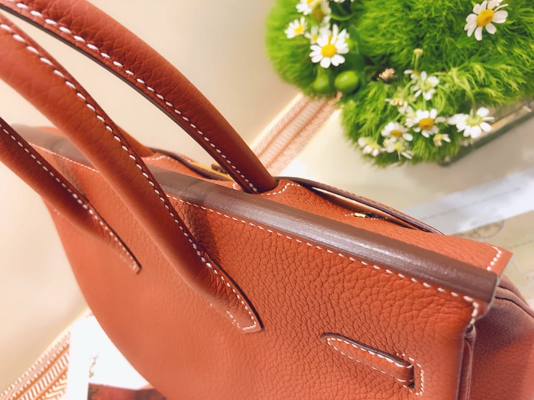 Hermes-birkin-25-togo-Maple Leaf Palm- Gold Buckle