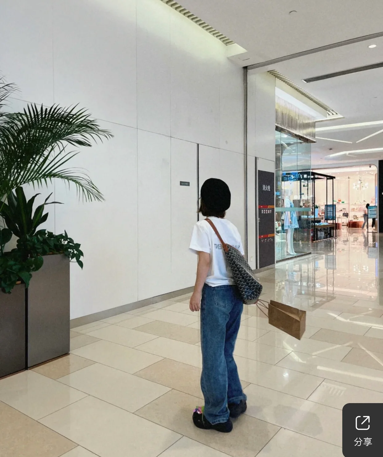 Сумка-тоут Goyard с монограммой, коричневая.