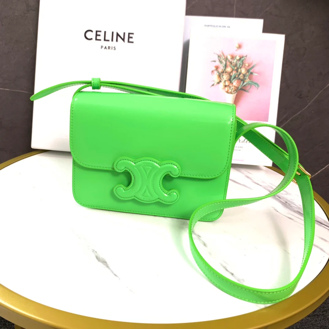 Celine - Новая благотворительная акция ?Триумфальная арка? 2022 года - teen-1