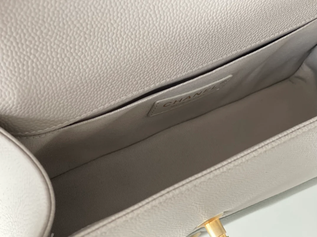Chanel-boy-25cm-47