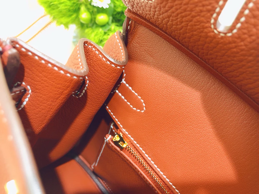 Hermes-birkin-25-togo-Maple Leaf Palm- Gold Buckle