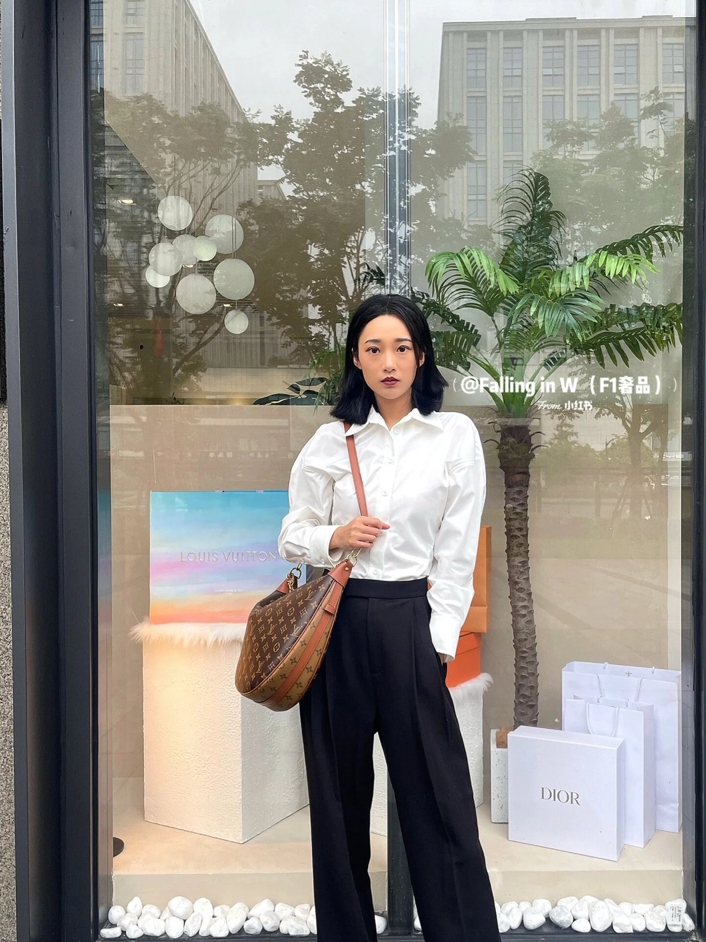 m46311-LV-loop-hobo-monogram большая сумка-полумесяц