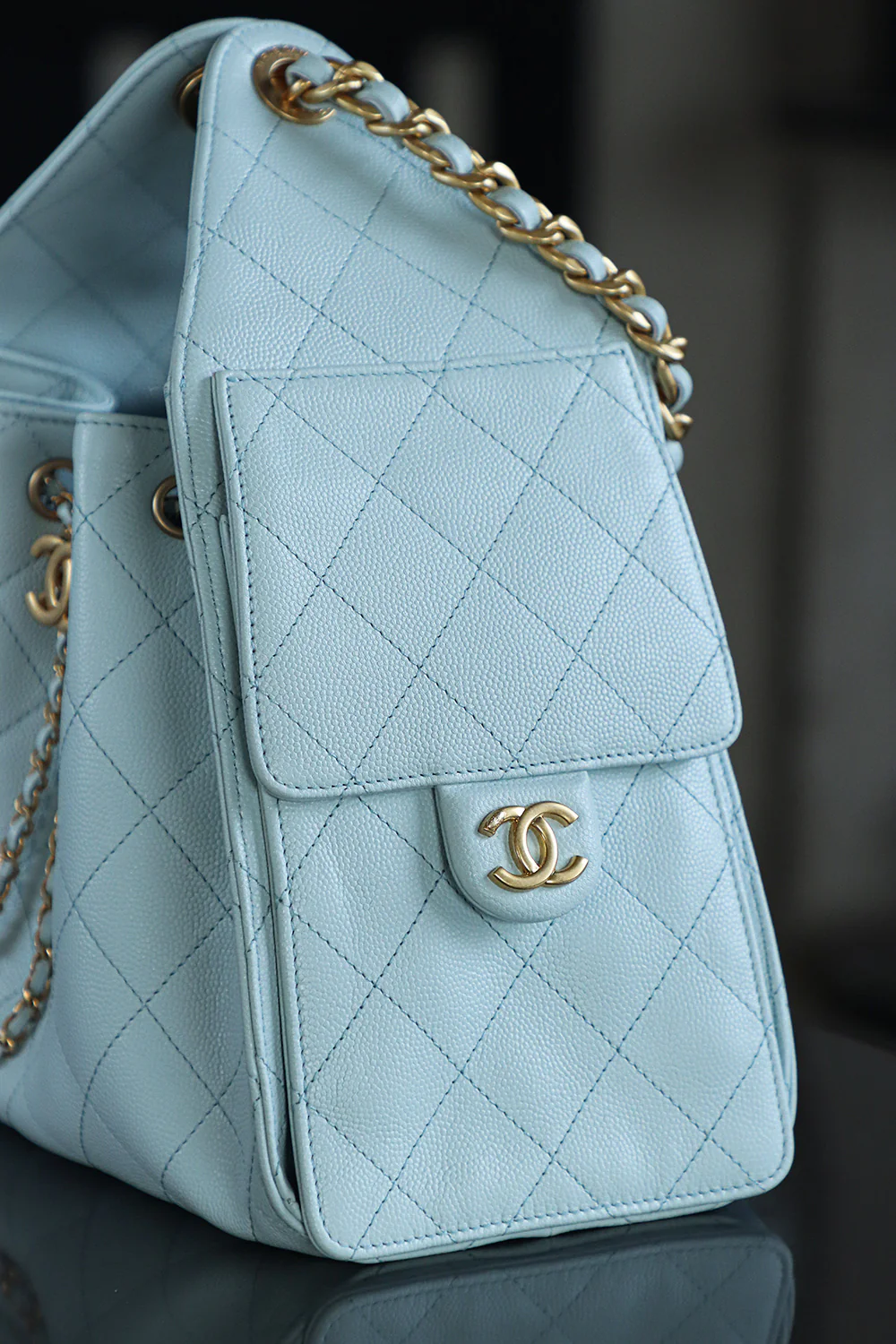 Сумка Chanel 25c Hippie Hobo Small Macaron с золотой пряжкой