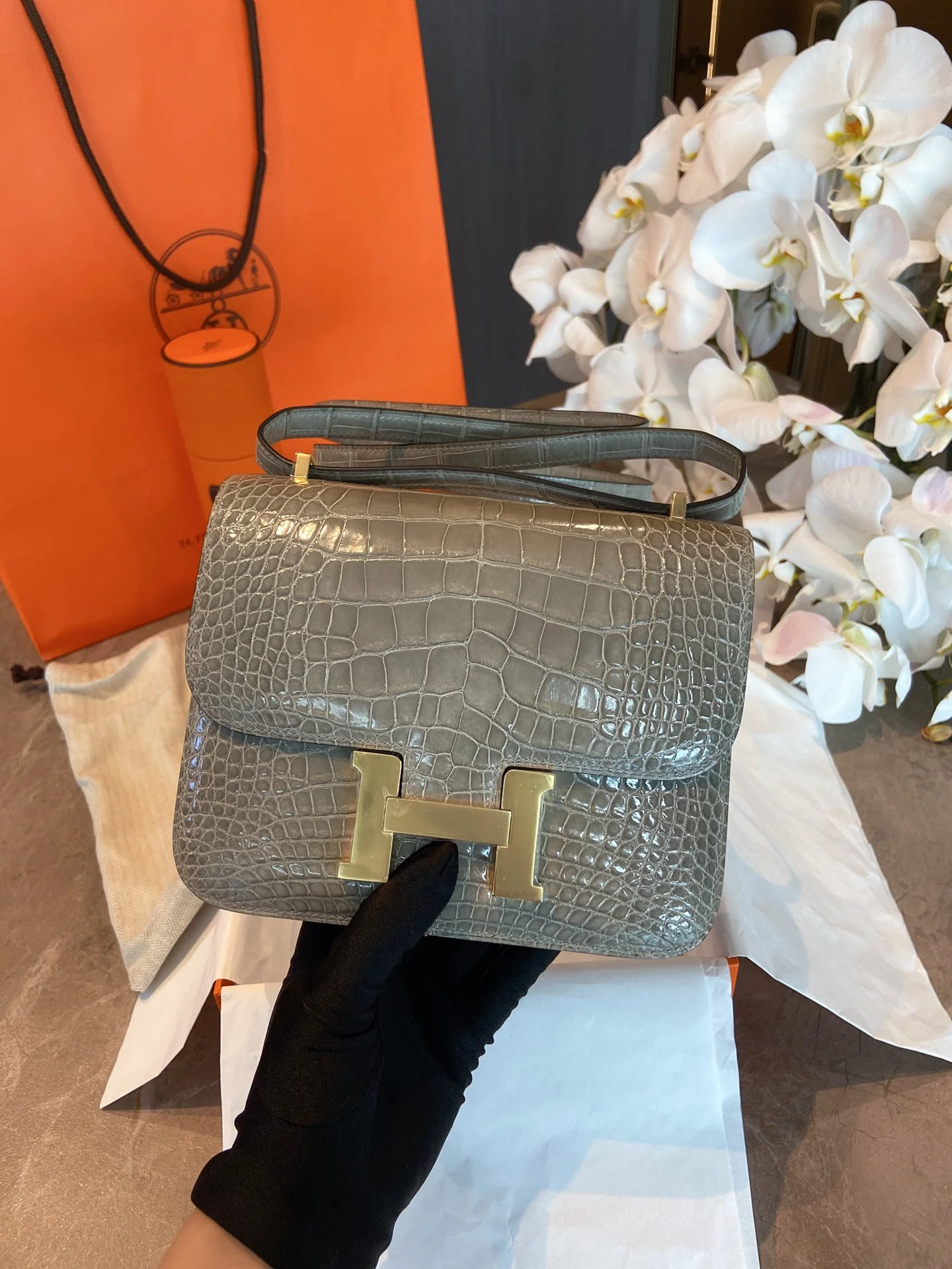 Hermes-constance-gris-tourterelle-81-spotted dove-gray-crocodile-gold buckle