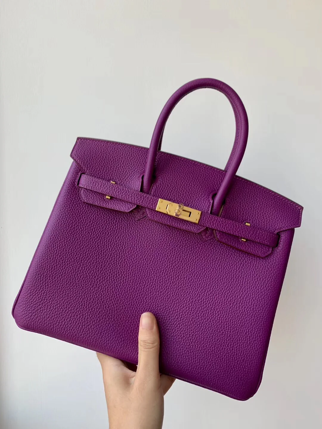 Hermes Birkin 25 Togo P9 Anemone Purple Gold Buckle