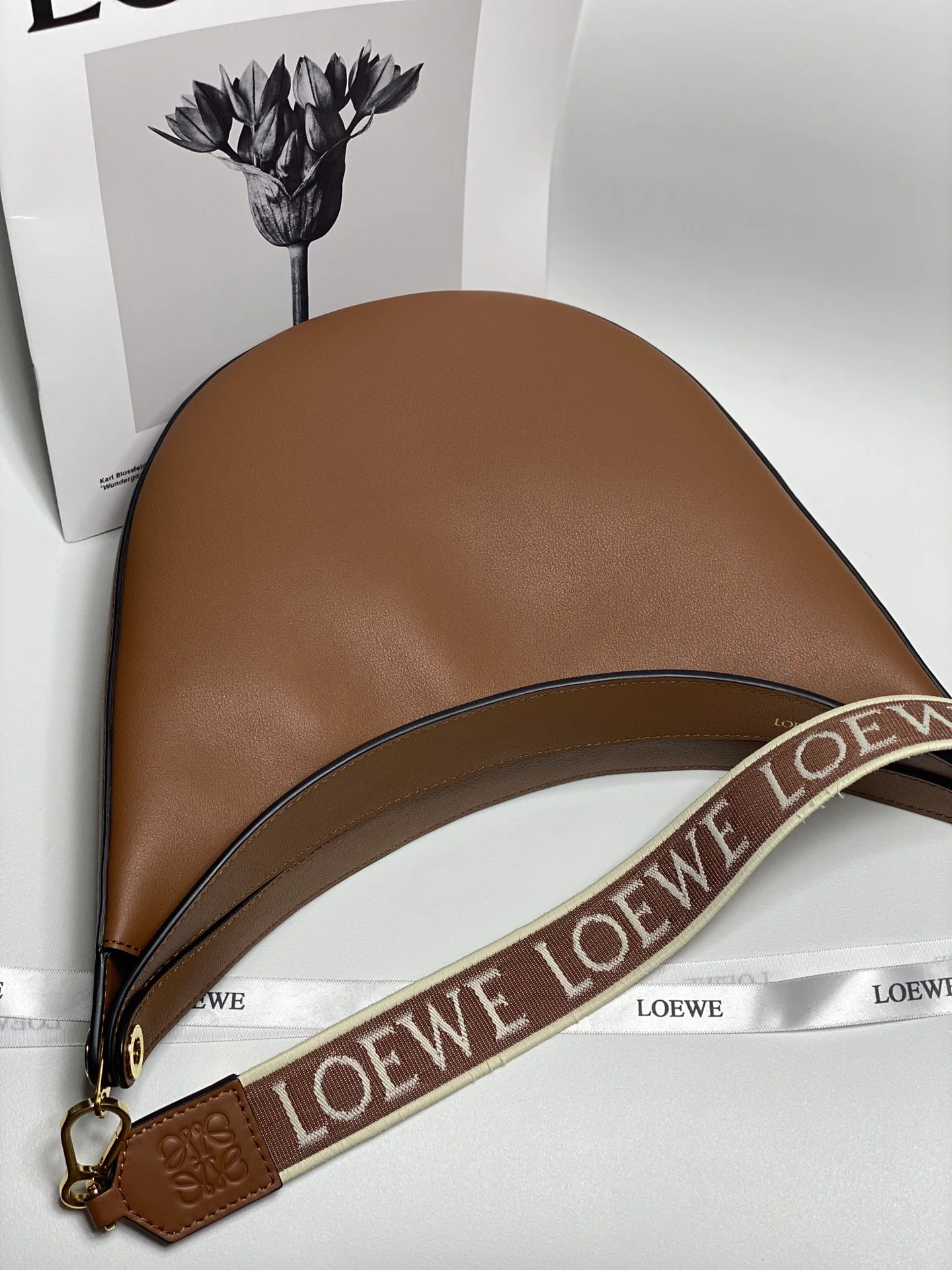 Сумка ?Луна? из коллекции Loewe Luna.