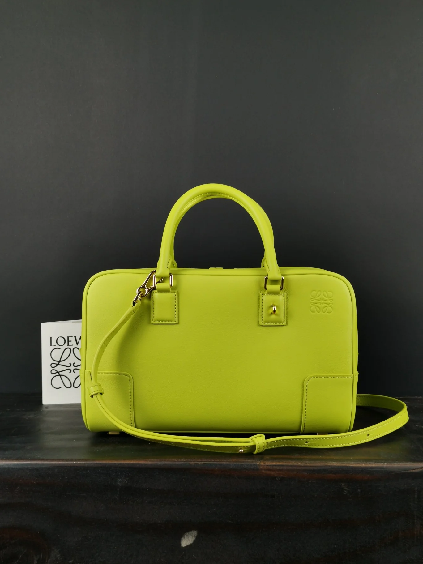 Loewe-amazona-32