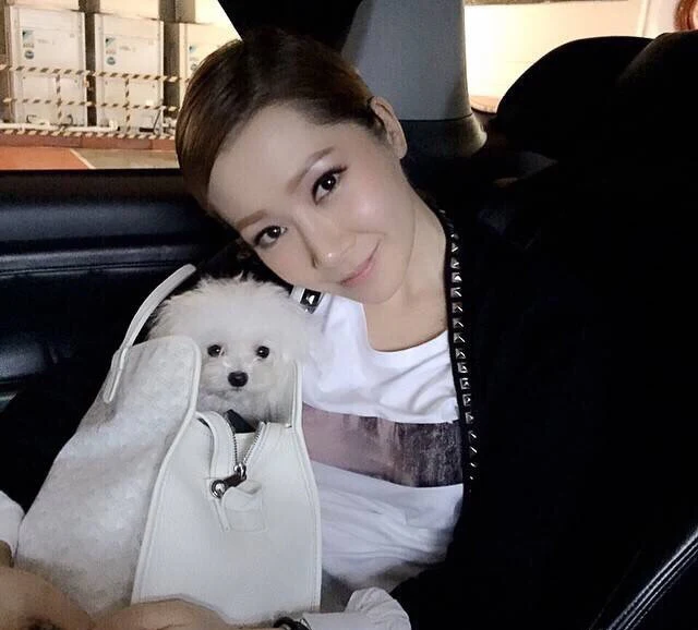 Маленькая складная холщовая сумка Goyard - белая.