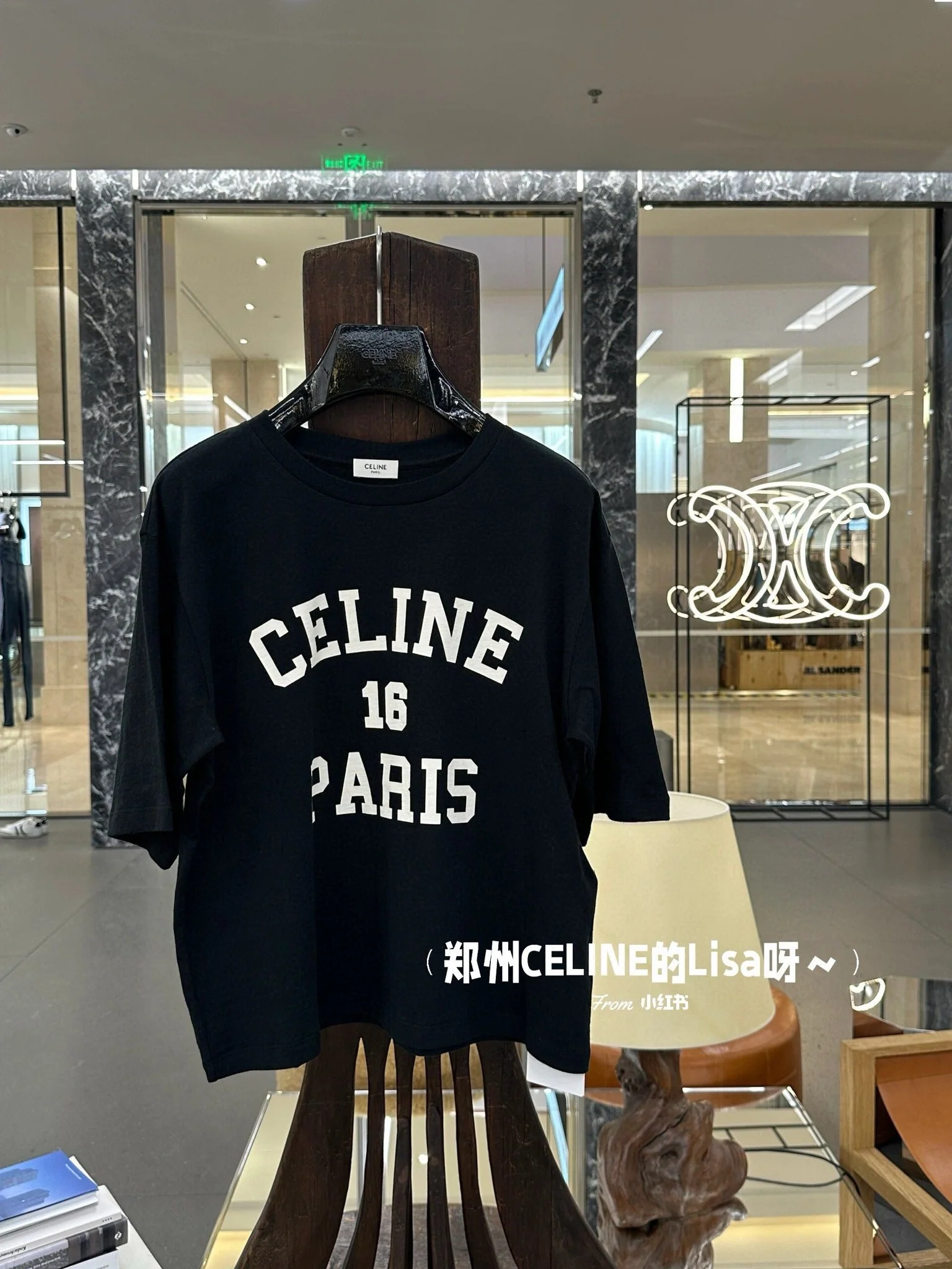 Celine - 2403 - Весна/Лето 2024 Новая футболка с бархатным принтом и логотипом - Унисекс