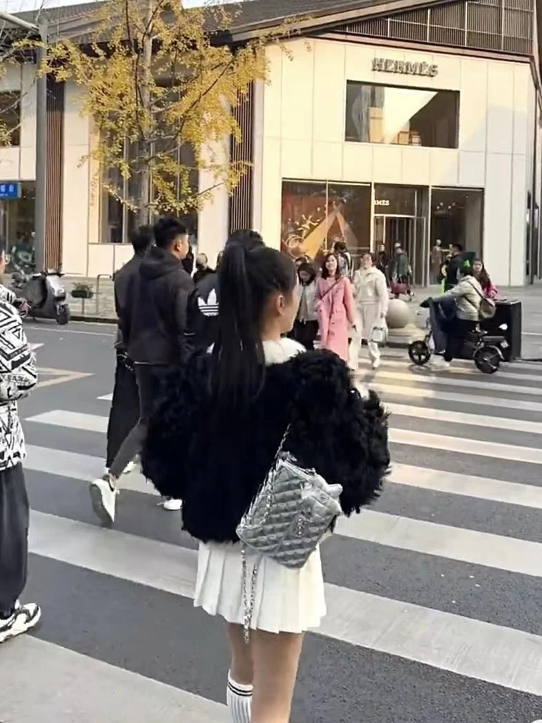 Рюкзак Chanel Early Spring Collection 24c - серебристый