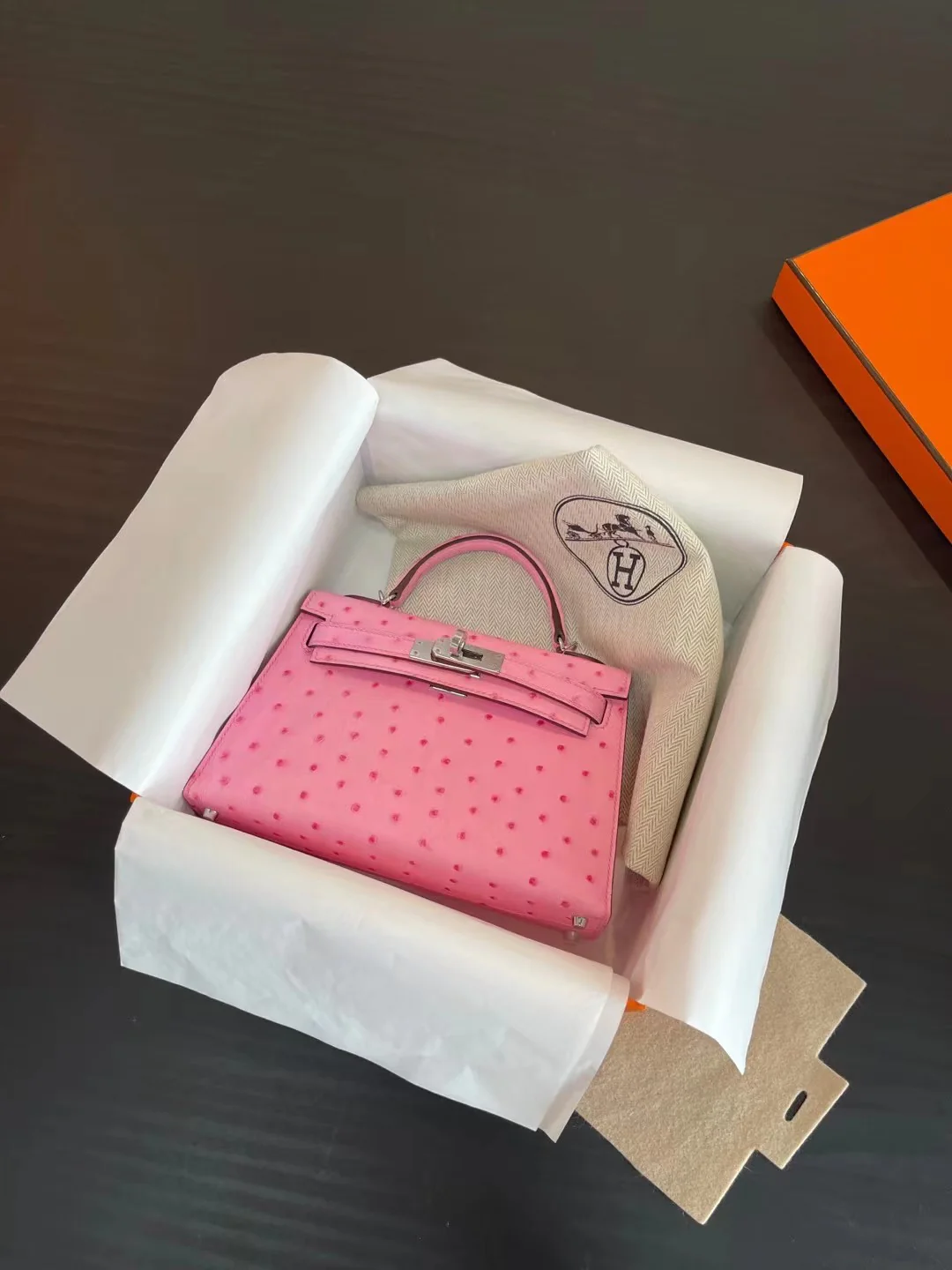 Миниатюрная пряжка Hermes Kelly Mini 2nd Generation из страусиной кожи с эффектом ?пузырьковой пудры?