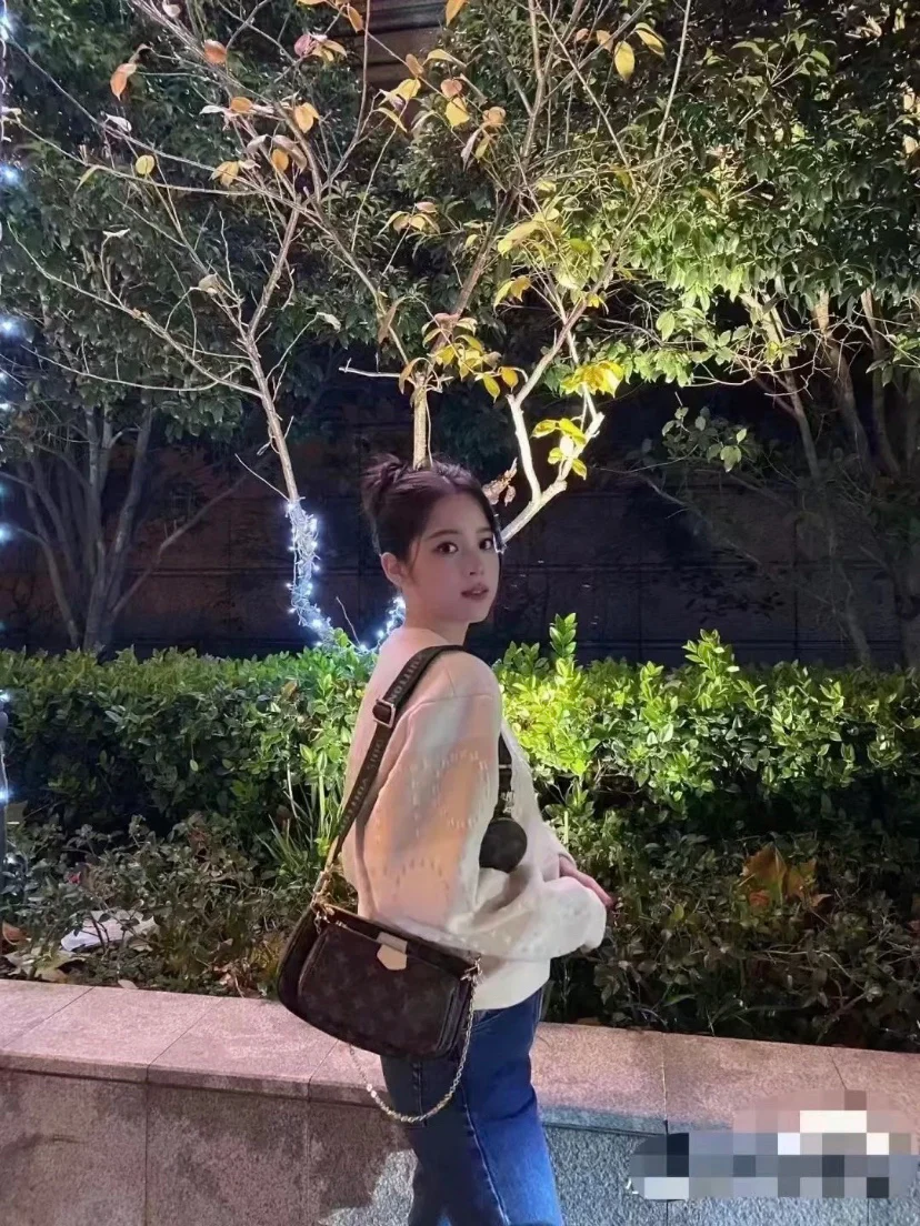 Сумка LV-m51984 - коричневая